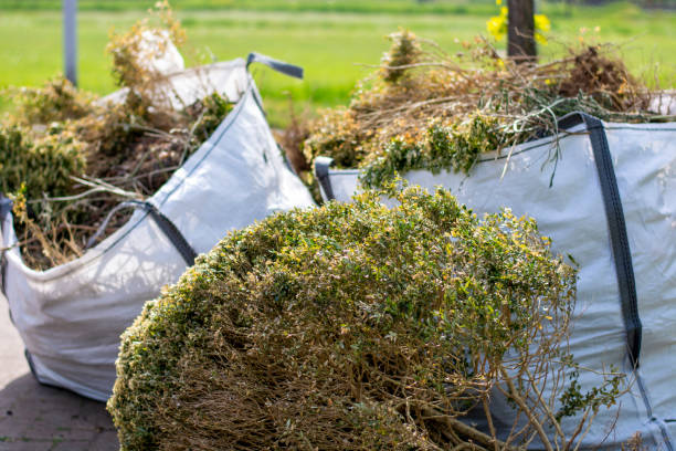 Best Estate Cleanout Services  in Bloomfield, MO